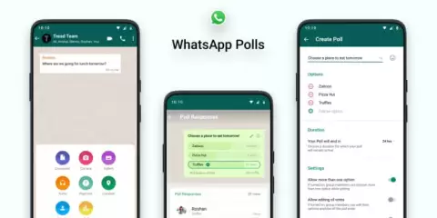 Cara Menggunakan Fitur Polling WhatsApp