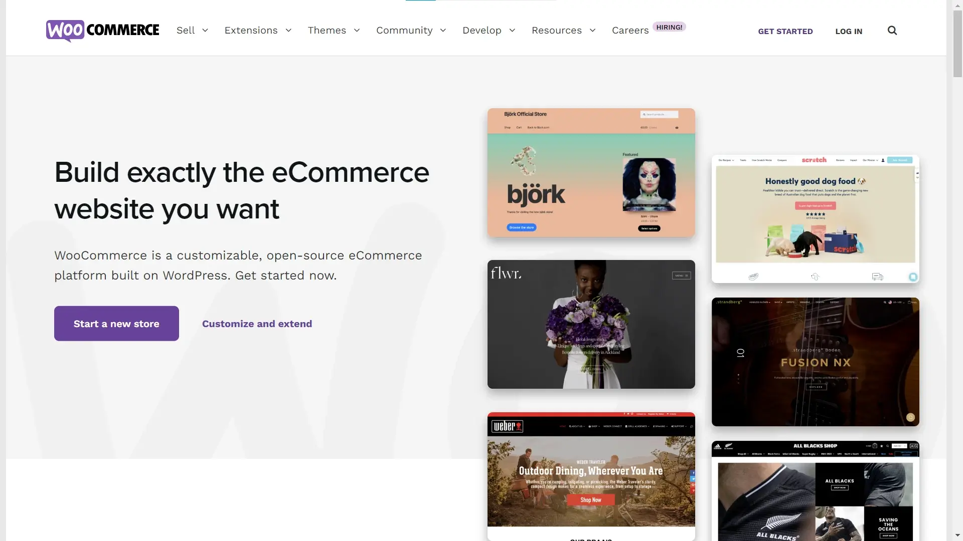 WooCommerce Homepage